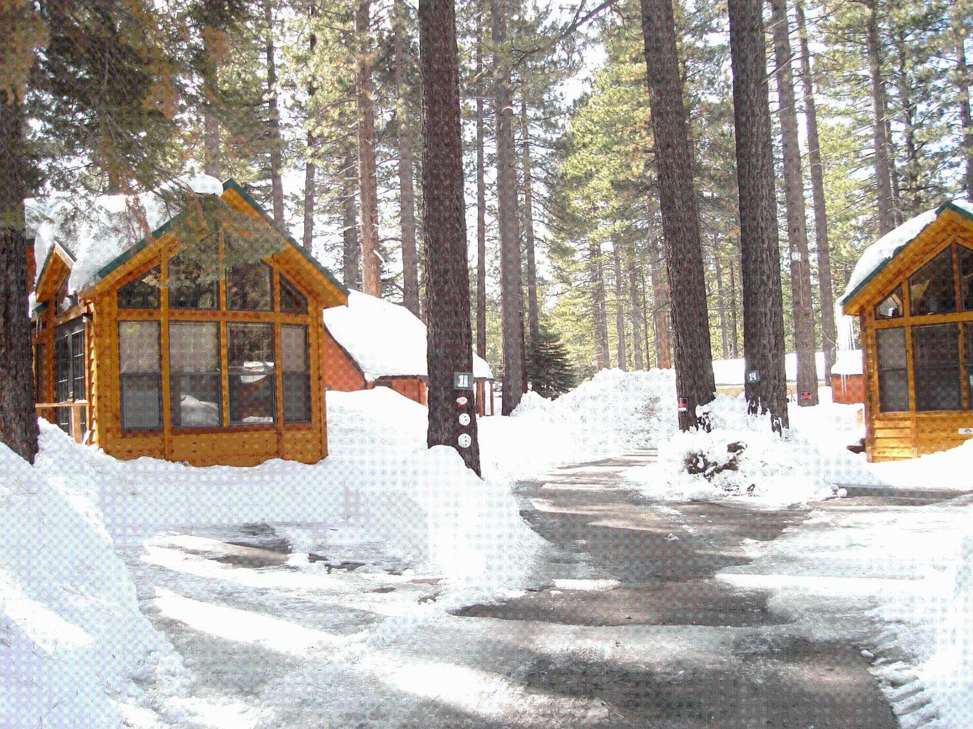 Cedar Pines Resort South Lake Tahoe Zewnętrze zdjęcie