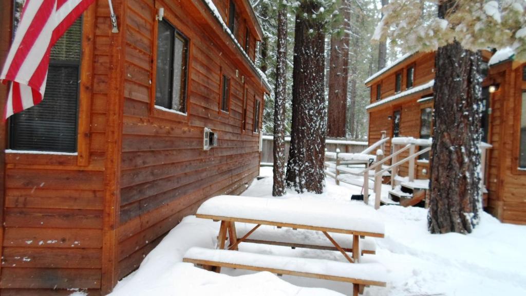 Cedar Pines Resort South Lake Tahoe Zewnętrze zdjęcie