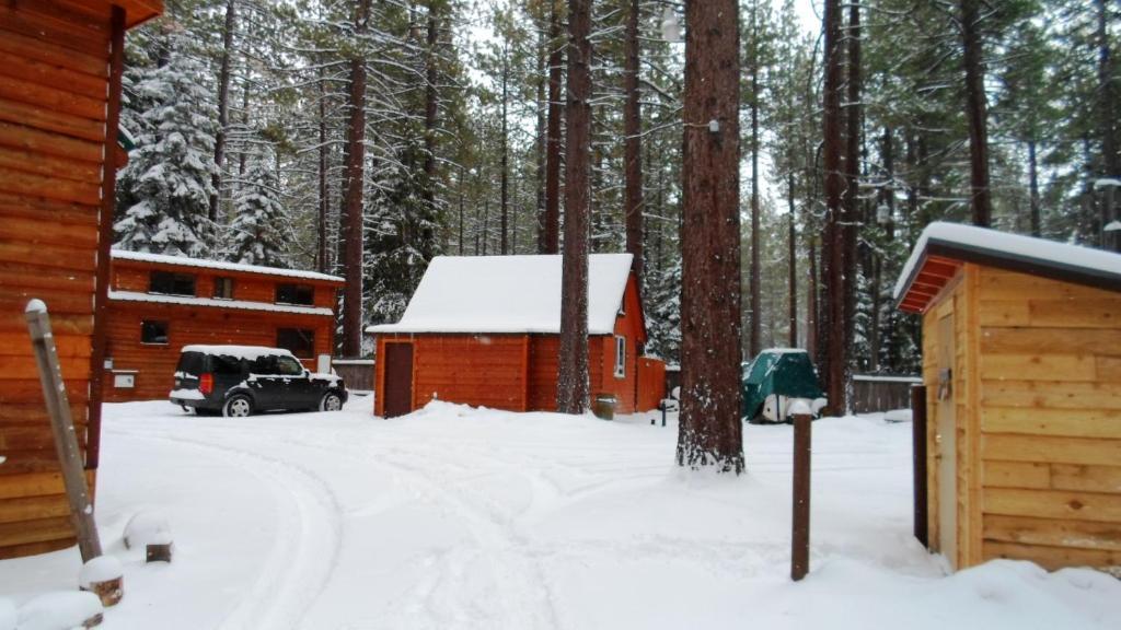 Cedar Pines Resort South Lake Tahoe Zewnętrze zdjęcie