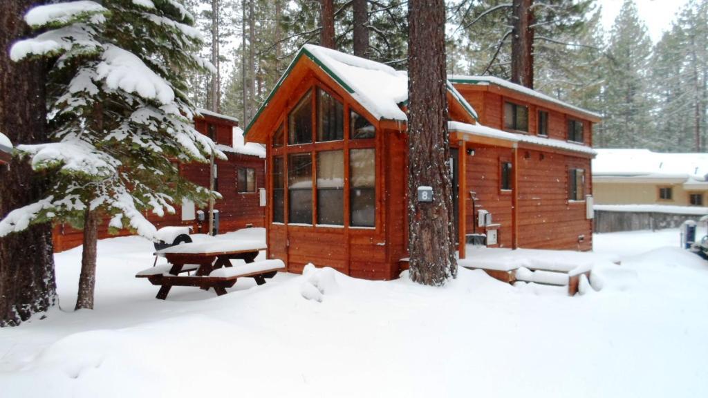 Cedar Pines Resort South Lake Tahoe Zewnętrze zdjęcie